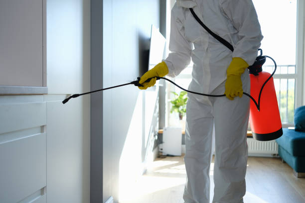 Best Residential Mold Removal  in Cypress Gardens, FL